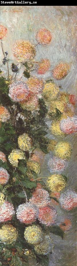 Claude Monet Dahlias